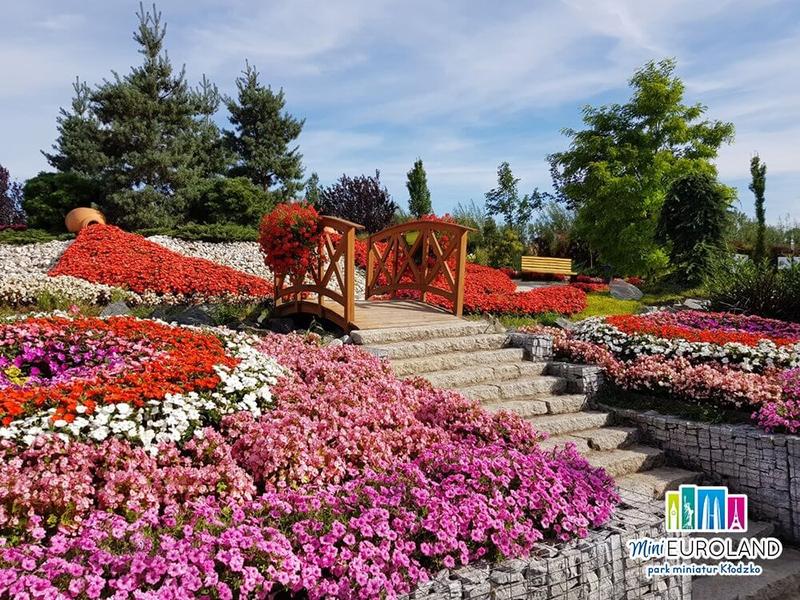 Korzyści i wyzwania przyjęcia euro