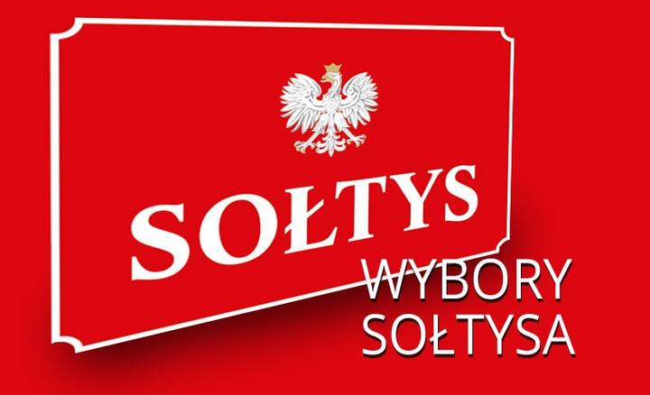 Kto ma prawo głosować w wyborach na sołtysa? Sprawdź, czy kwalifikujesz się!