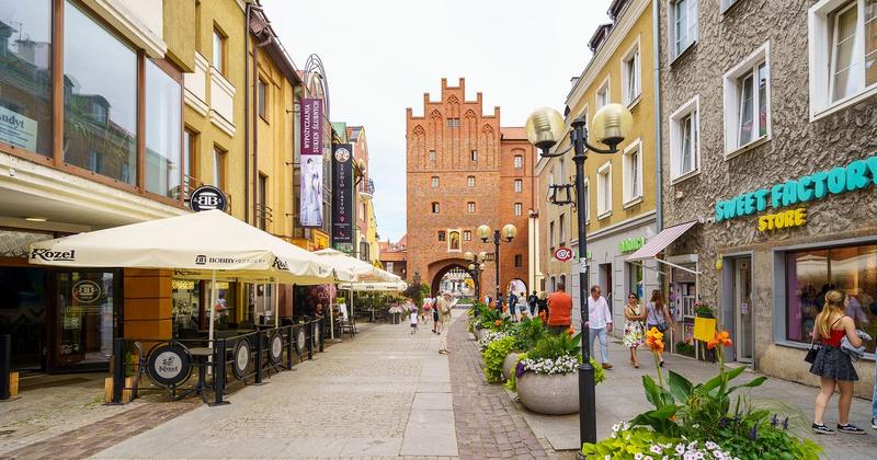 Sondaże przedwyborcze Olsztyn