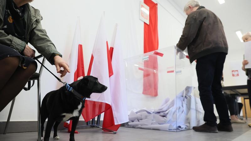 Jak głosować bez stałego adresu