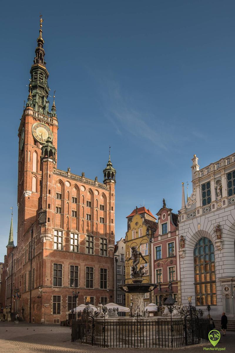 Jak głosować w Gdańsku