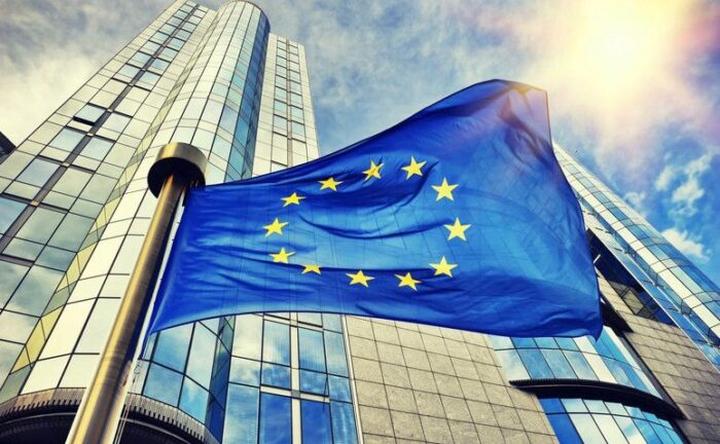 Wybory do Europarlamentu