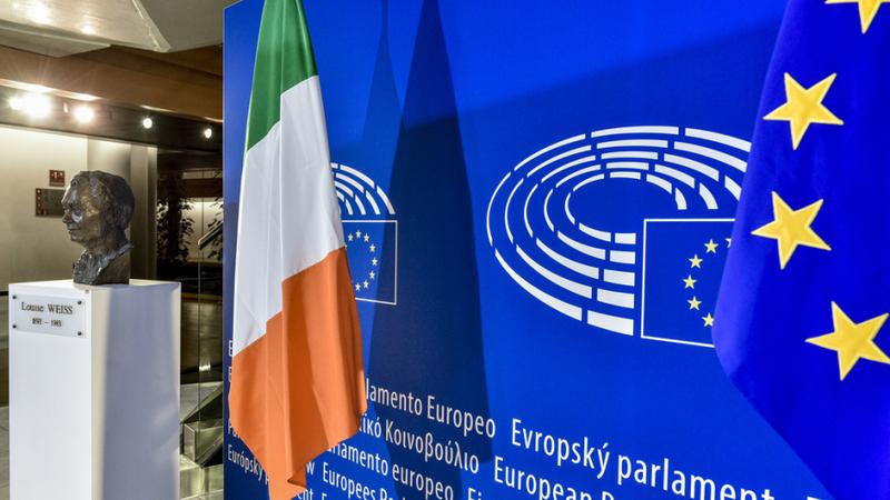 Procedury wyborcze w UE