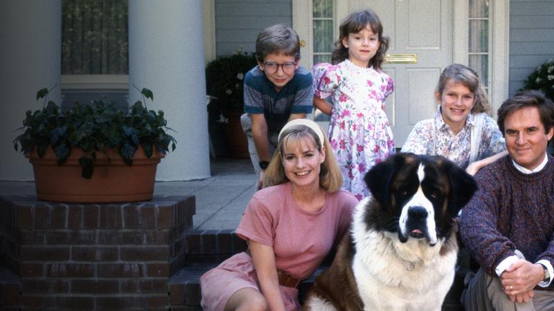 Hymn Unii Europejskiej – jaki utwór go reprezentuje?