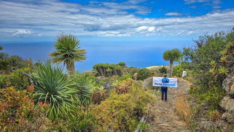 Status terytoriów specjalnych