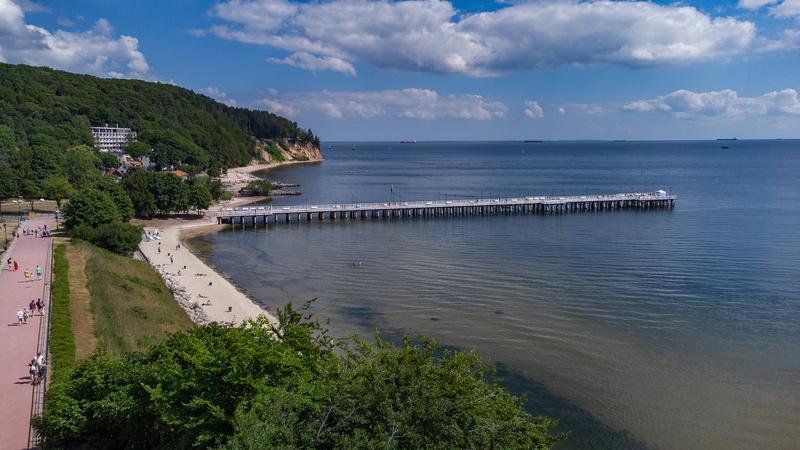 Wybory samorządowe Gdynia