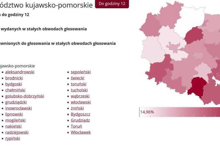 Jak głosować w wyborach samorządowych? Poradnik dla każdego wyborcy