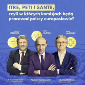 Jakie są koszty diety w wyborach do europarlamentu 2026?
